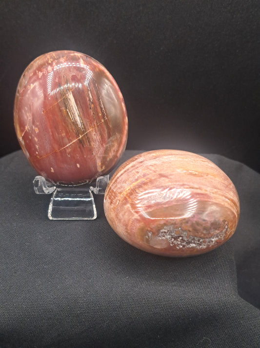 Petrified Wood Palm Stone - Intuitive Pick