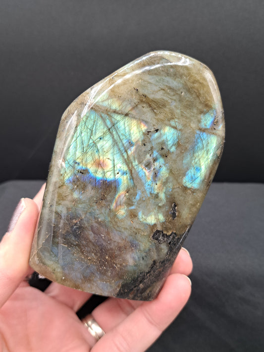 Labradorite Freeform With Oil Slick Flash