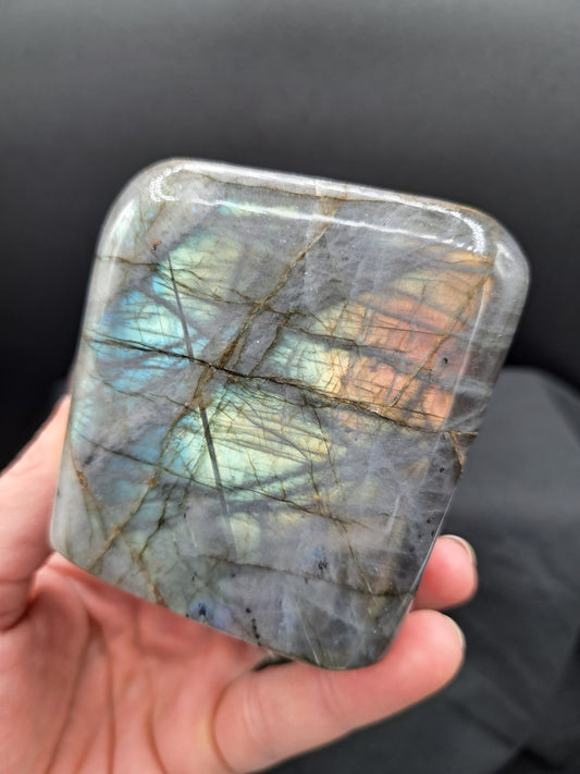 Labradorite Freeform With Webbed Multi Color Flash