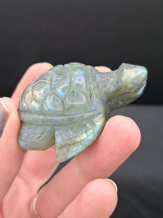 Labradorite Sea Turtle Carving