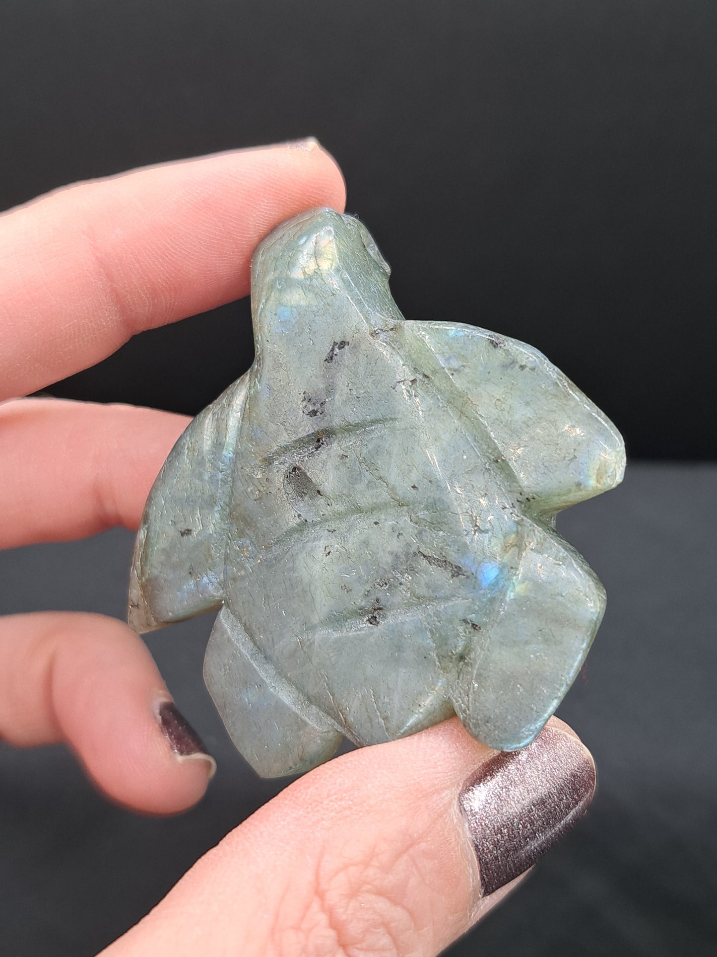 Labradorite Sea Turtle Carving