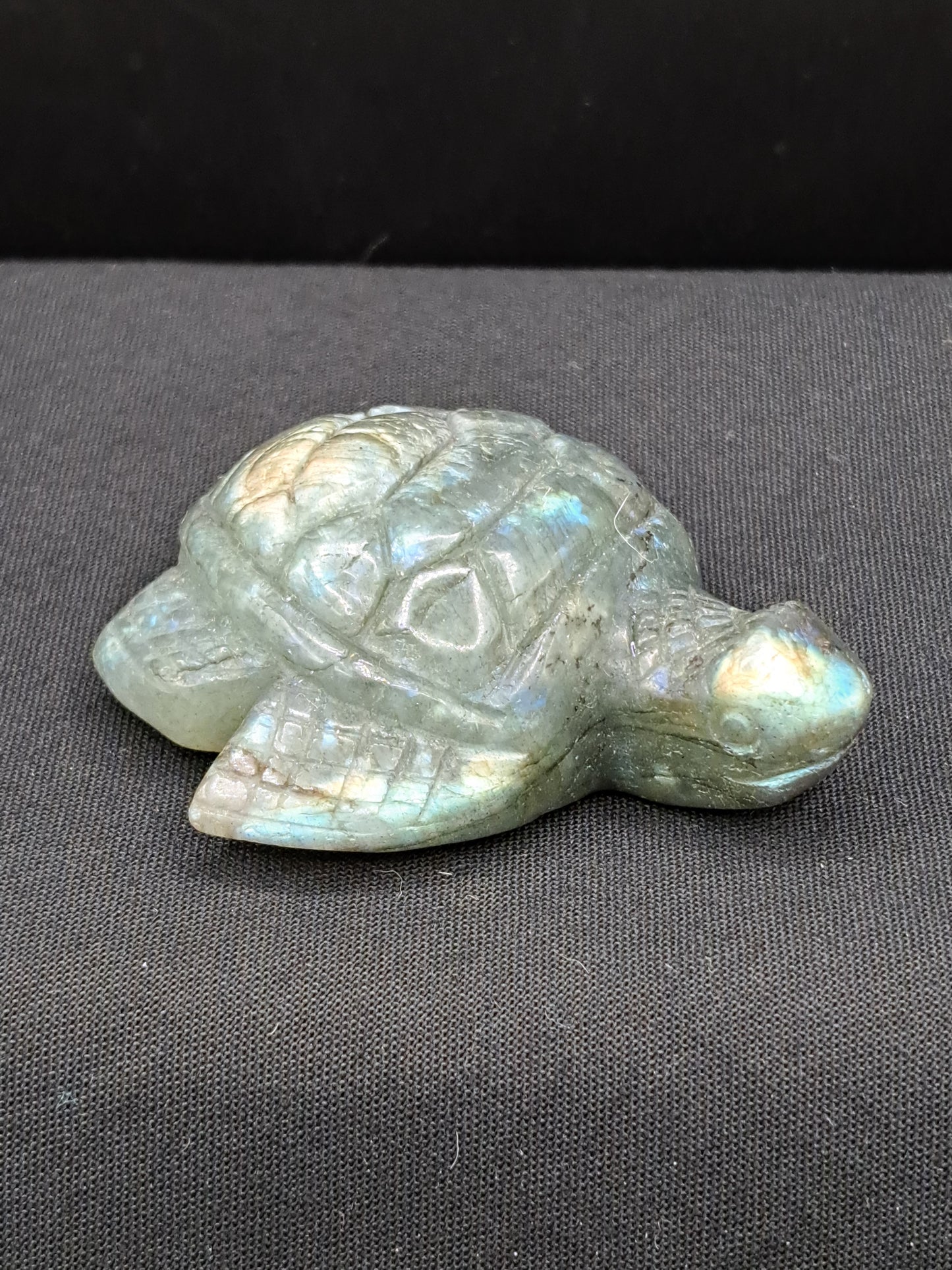 Labradorite Sea Turtle Carving