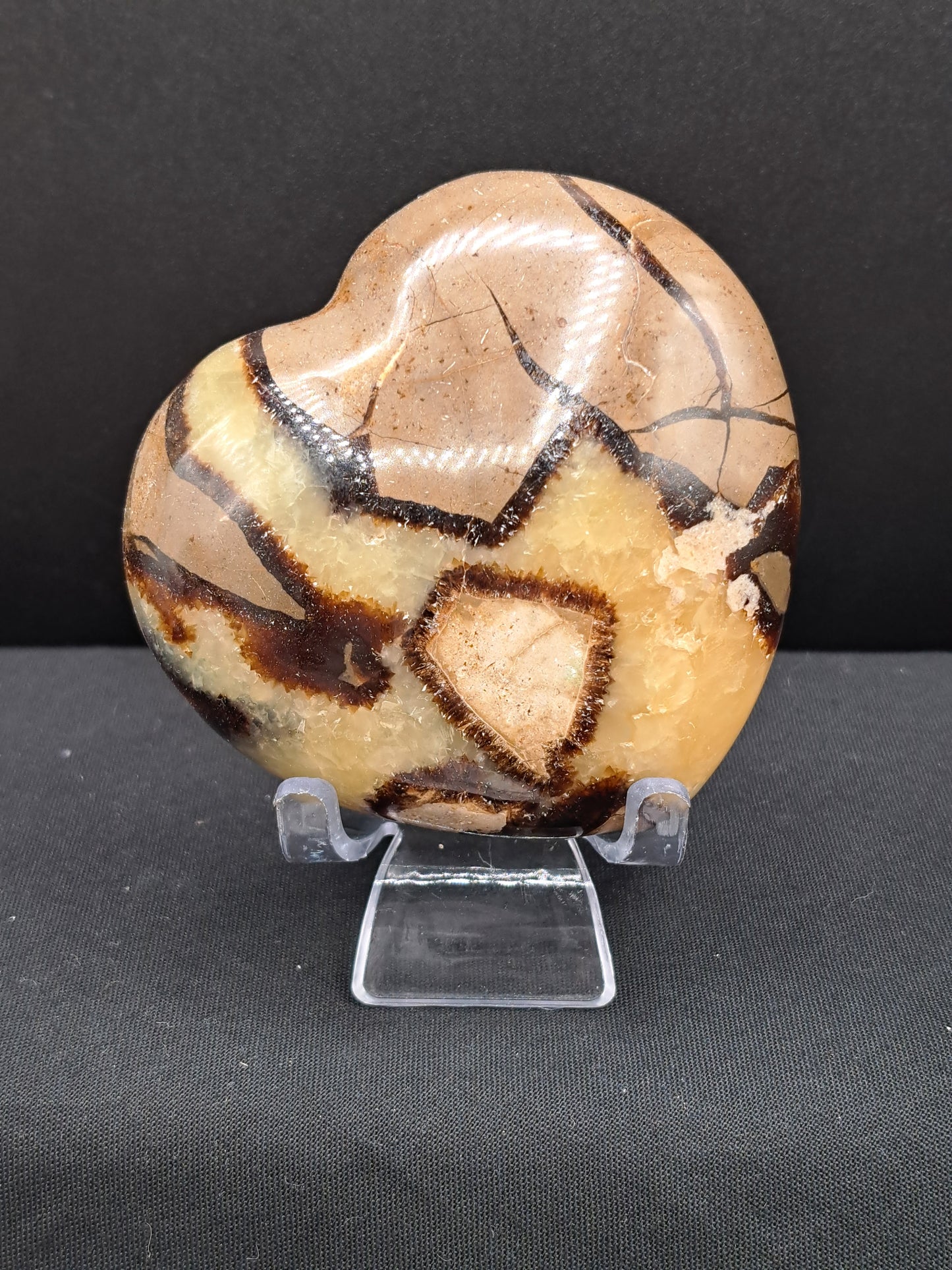 Septarian Puffy Heart - You Choose