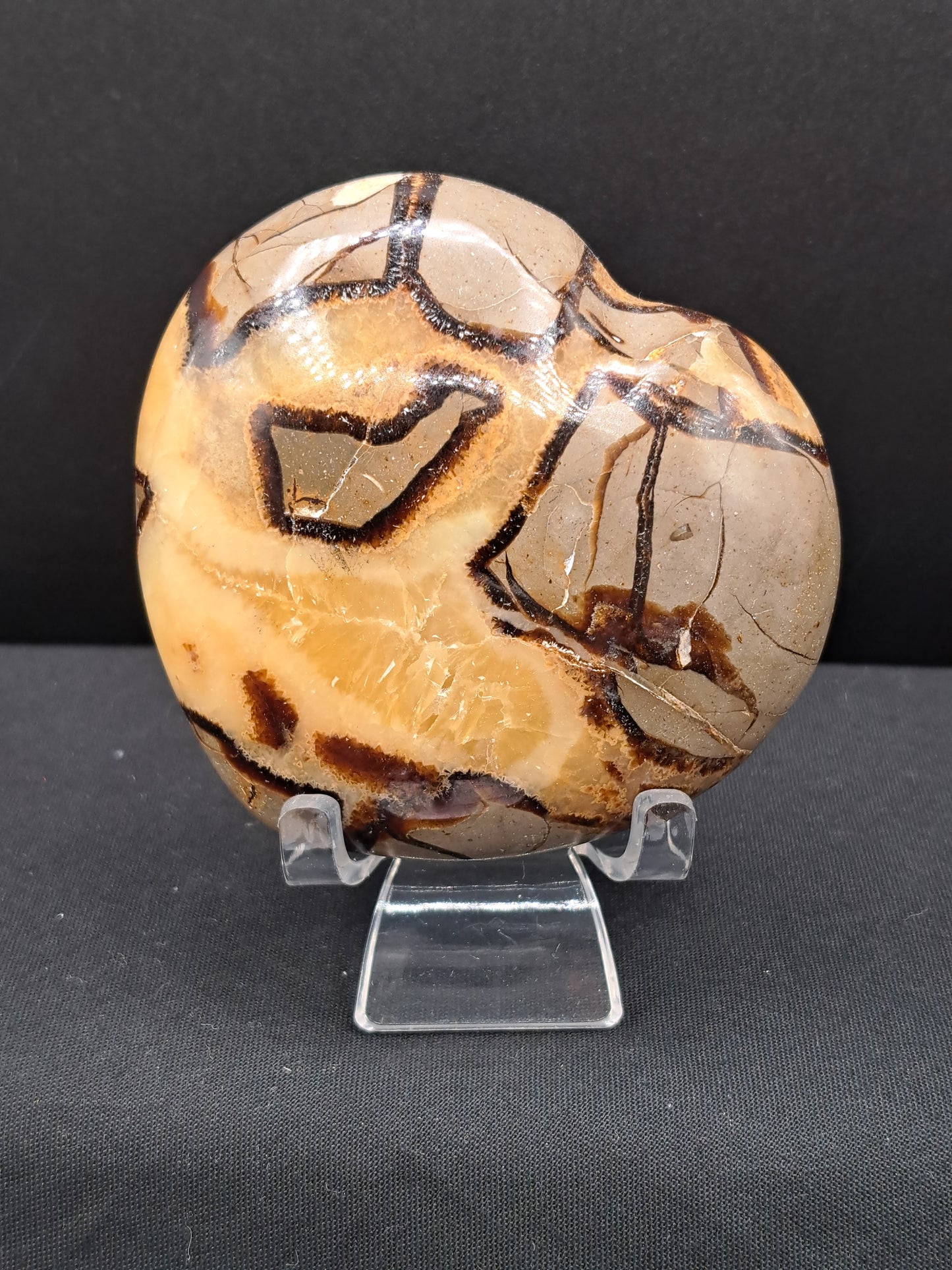 Septarian Puffy Heart - You Choose