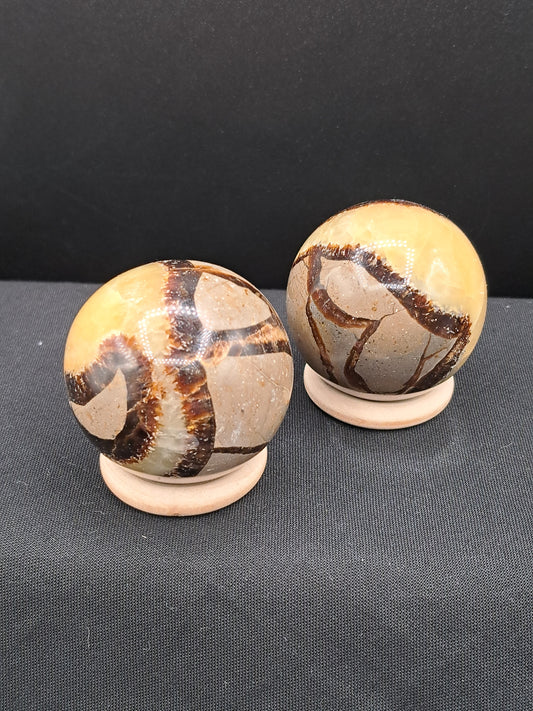 Septarian Small Sphere - You Choose