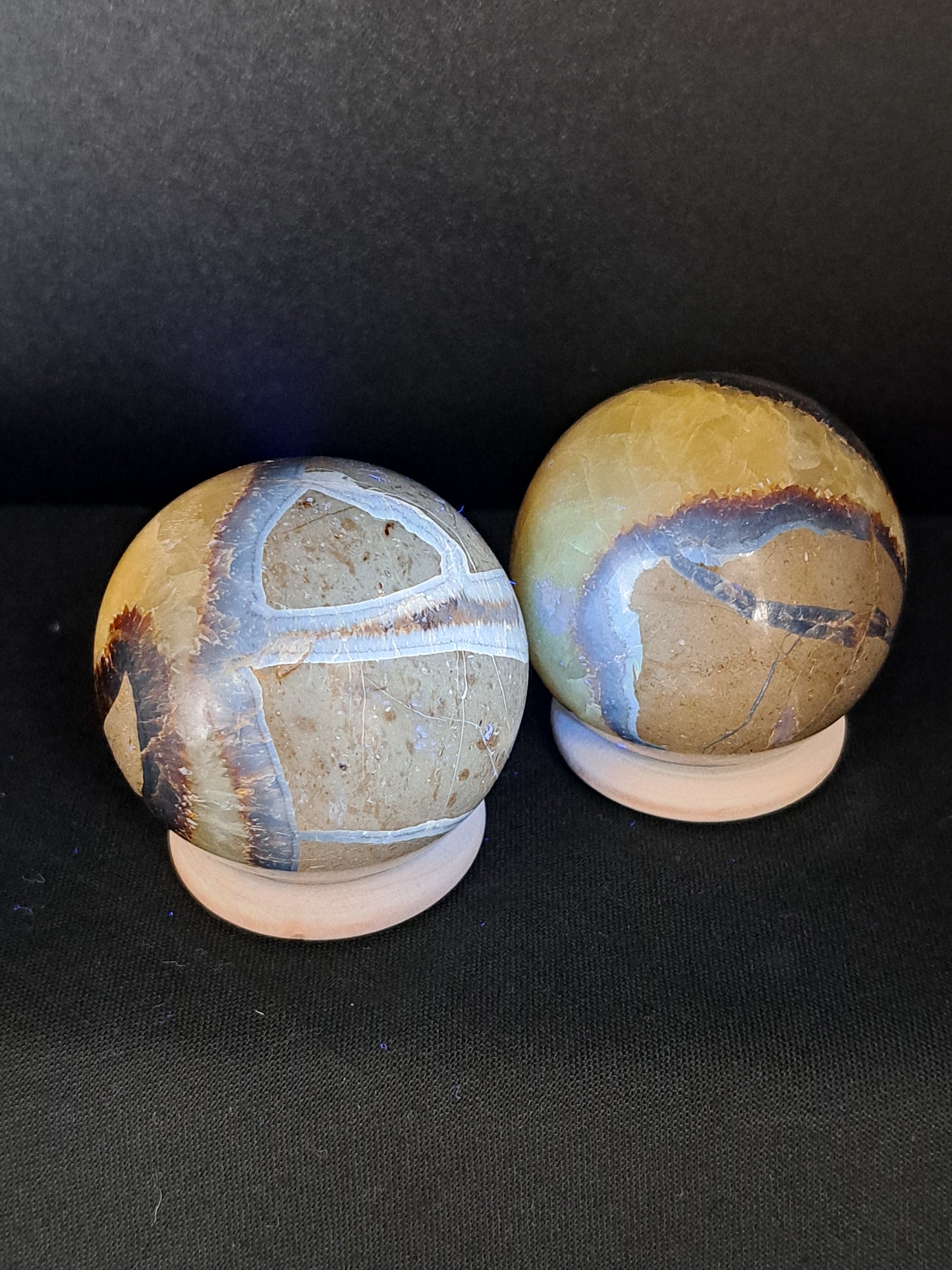 Septarian Small Sphere - You Choose