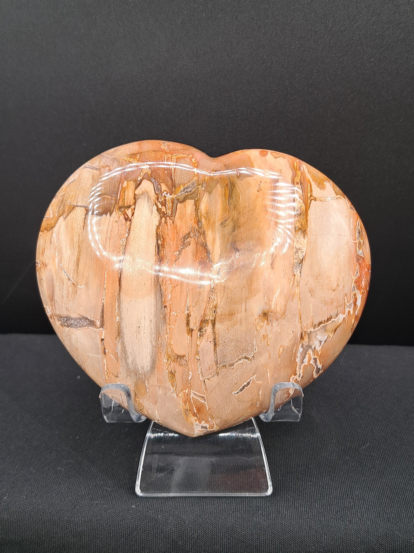 Petrified Wood Puffy Heart - You Choose