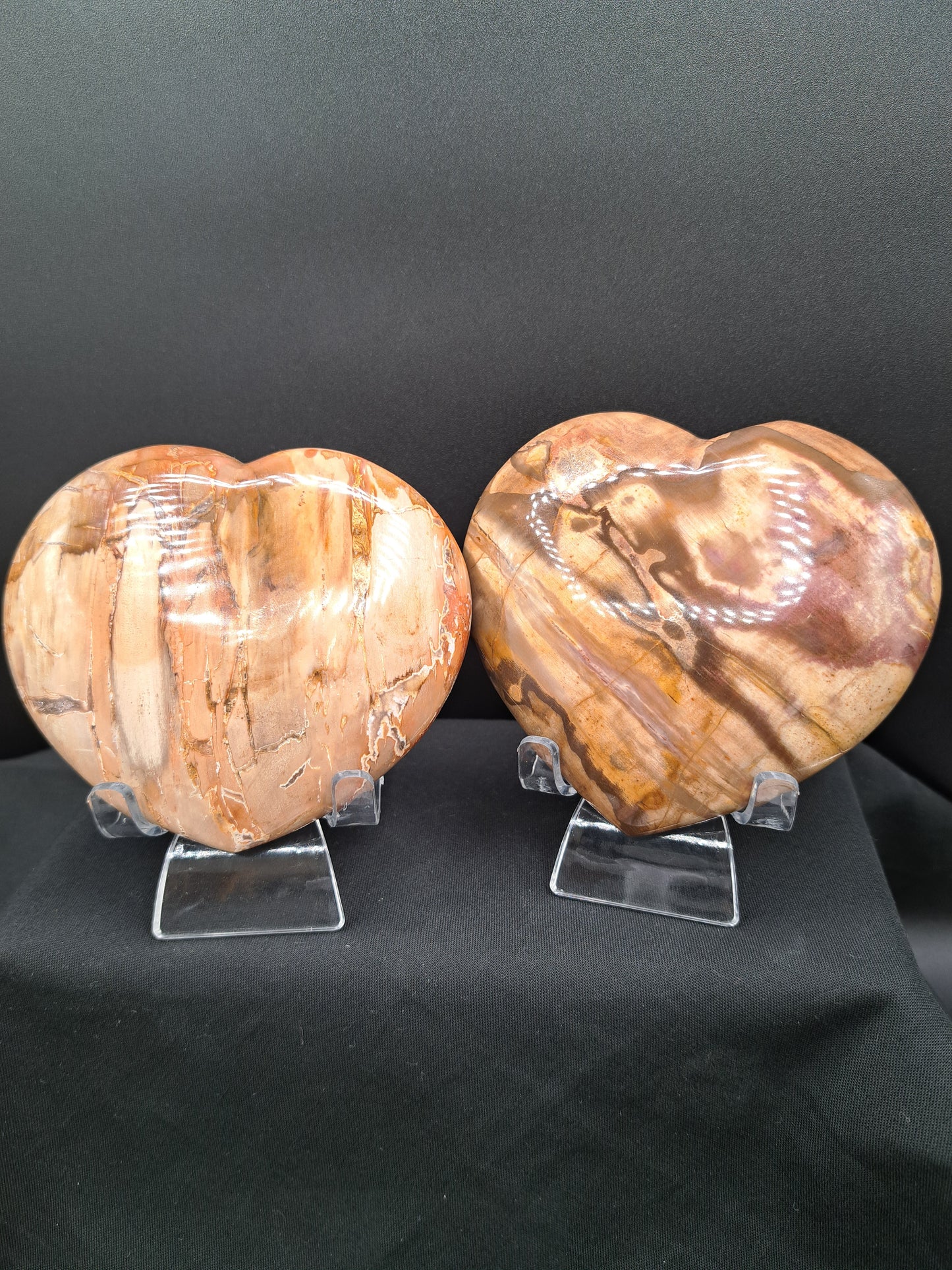 Petrified Wood Puffy Heart - You Choose