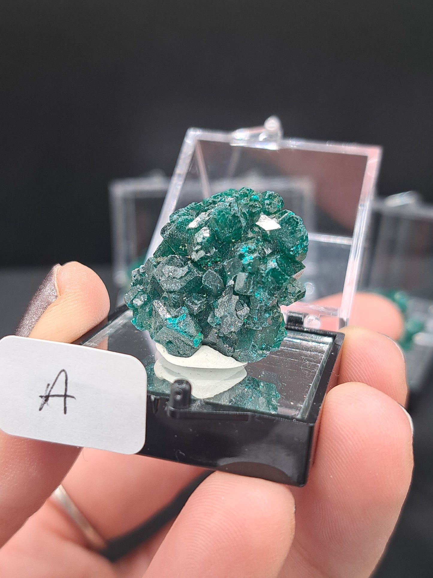 Dioptase in Perky Box - You Choose