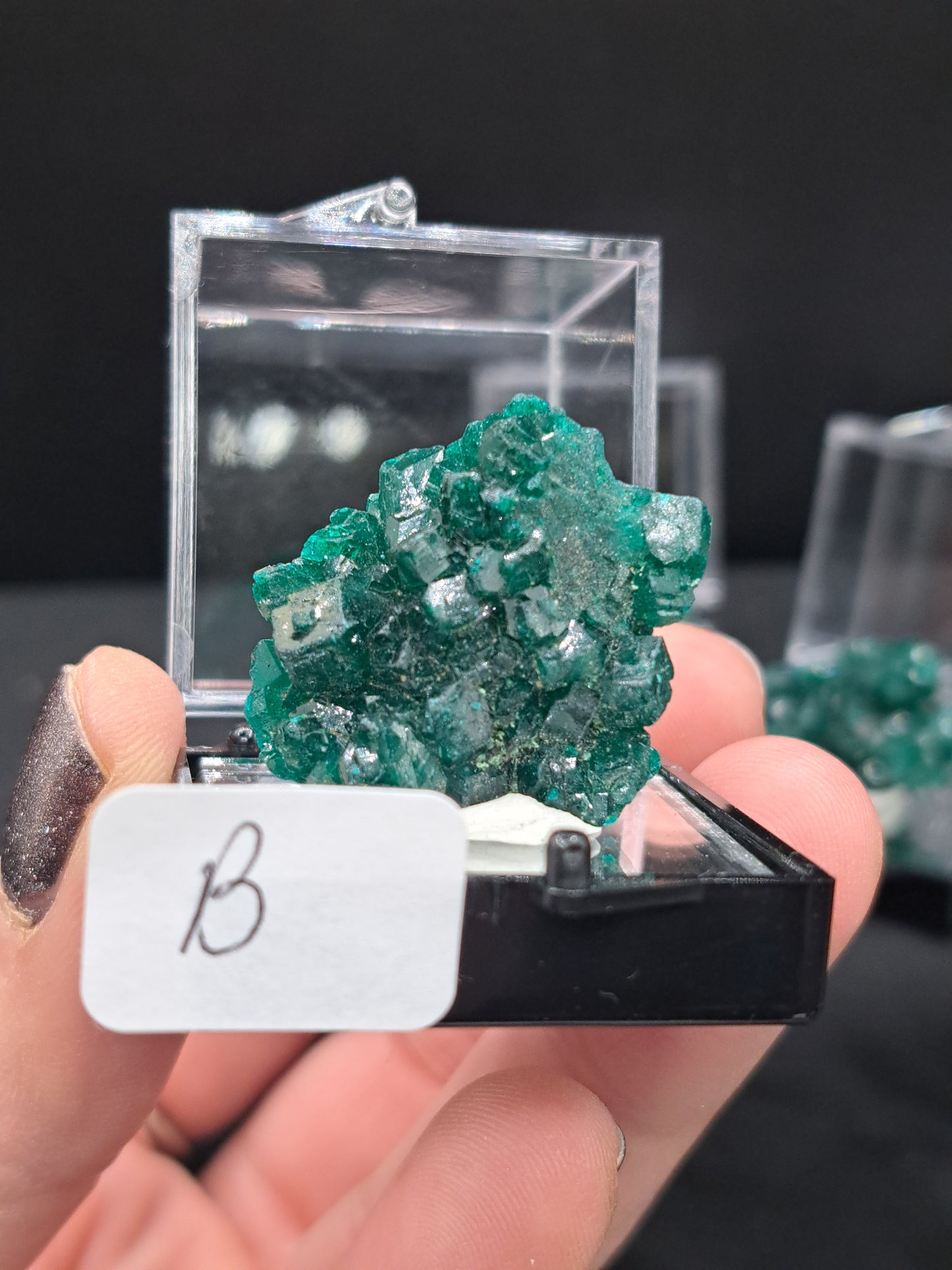 Dioptase in Perky Box - You Choose