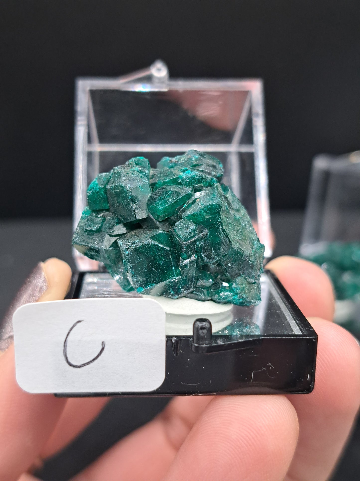 Dioptase in Perky Box - You Choose