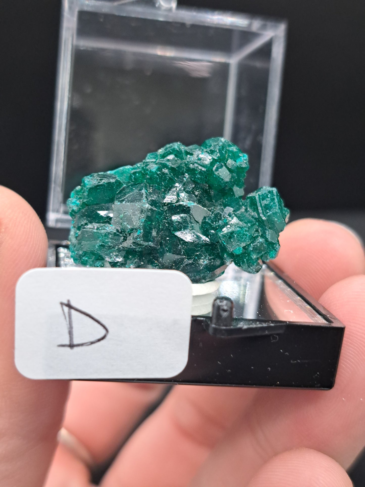 Dioptase in Perky Box - You Choose