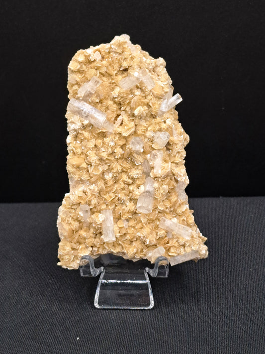 Goshenite With Muscovite